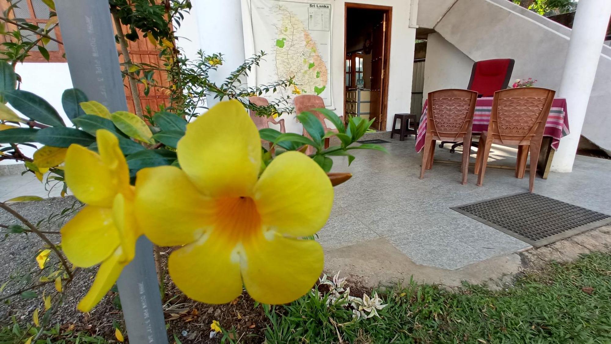 Family Resort Udawalawe Zewnętrze zdjęcie